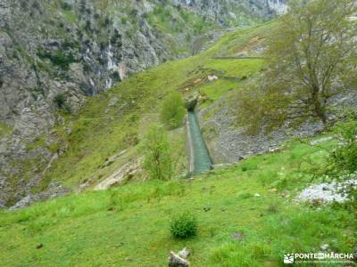 Ruta Cares-Picos de Europa; floracion de cieza rutas senderismo teruel urederra ruta las machotas